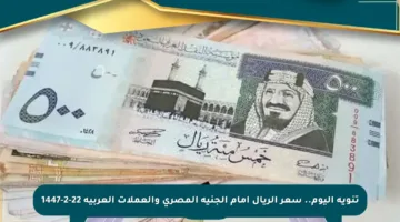 تنويه اليوم.. سعر الريال أمام الجنيه المصري والعملات العربية 22-2-1447